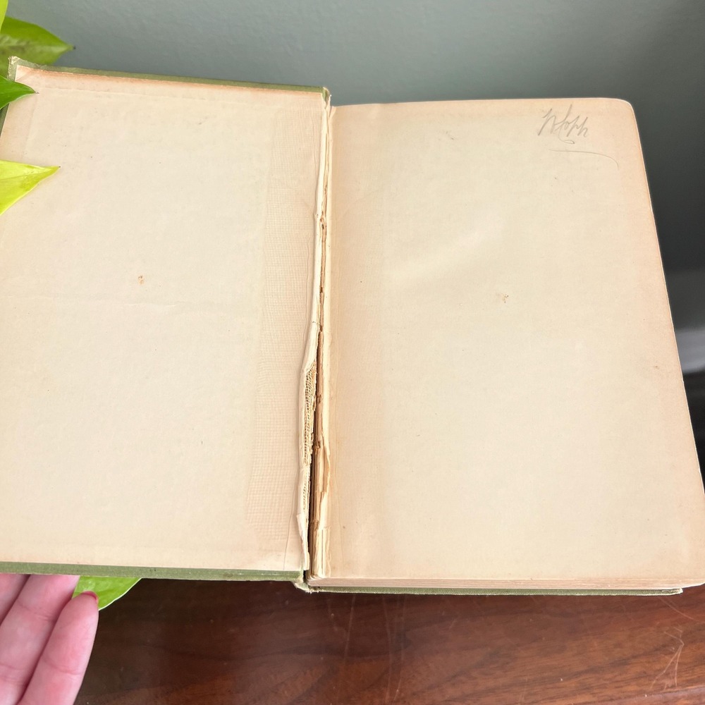 Antique 1902 Book The Strength Of Th Weak By Chauncey C. Hotchkiss 1st Edition - Picture 2 of 11